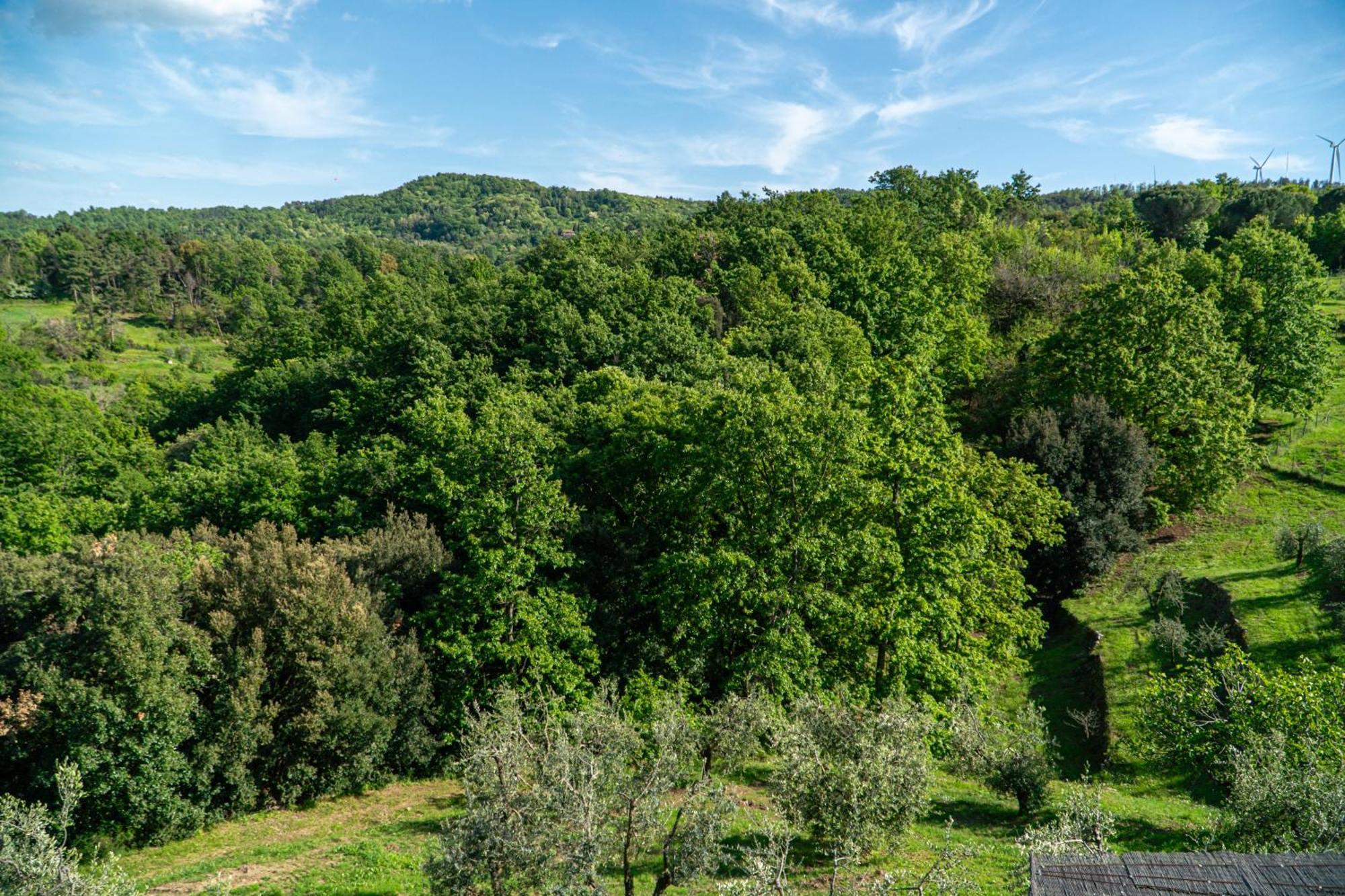 Aparthotel Piccozzo Agritour à Casciana Terme Extérieur photo